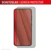 Displex Privacy Screen Protector (10H) for Samsung Galaxy S24/S25, Eco Mounting Frame, Privacy Filter
