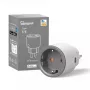 Smart plug Sonoff S60 16A with Wi‑Fi, remote control and energy monitoring