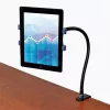 StarTech.com Gooseneck Tablet Holder - Bendable Tablet Arm, Tablet/UMPC, Active holder, Indoor, Black