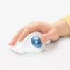 Mouse Logitech ERGO M575 Wireless Trackball RF Wireless + Bluetooth