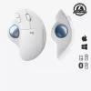 Mouse Logitech ERGO M575 Wireless Trackball RF Wireless + Bluetooth