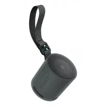 Sony SRS-XB100 - Wireless Bluetooth Portable Speaker, Durable IP67 Waterproof & Dustproof, 16 Hour Battery, Eco, Outdoor and Travel in Black