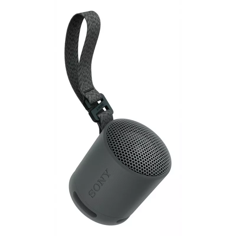 Sony SRS-XB100 - Wireless Bluetooth Portable Speaker, Durable IP67 Waterproof & Dustproof, 16 Hour Battery, Eco, Outdoor and Travel in Black