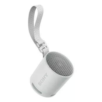 Sony SRS-XB100 - Wireless Bluetooth Portable Speaker, Durable IP67 Waterproof & Dustproof, 16 Hour Battery, Eco, Outdoor and Travel in Light Grey
