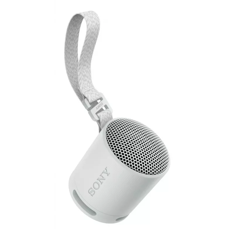 Sony SRS-XB100 - Wireless Bluetooth Portable Speaker, Durable IP67 Waterproof & Dustproof, 16 Hour Battery, Eco, Outdoor and Travel in Light Grey