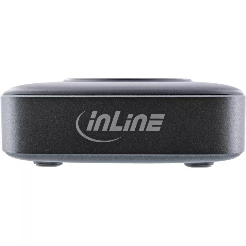 Portable Battery InLine Qi Powerstation Multiport, 20V