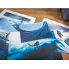 Canon imagePROGRAF PRO-1100 photo printer Inkjet 2400 x 1200 DPI Wi-Fi