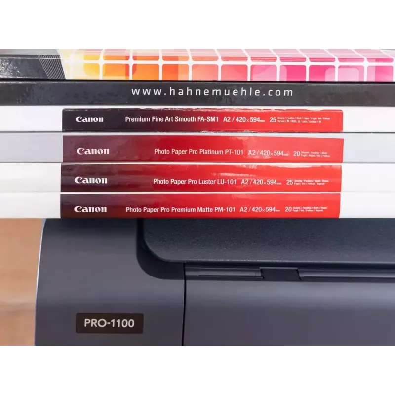 Canon imagePROGRAF PRO-1100 photo printer Inkjet 2400 x 1200 DPI Wi-Fi