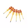 Manual screwdriver set Wera 05051575001 straight screwdriver