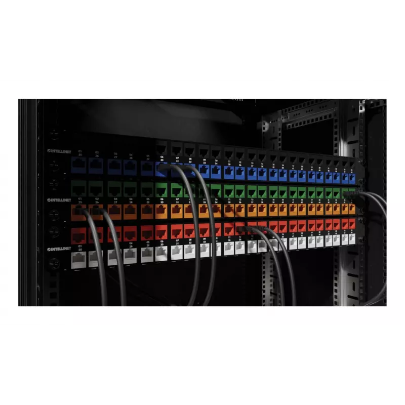 Intellinet 791298 keystone module