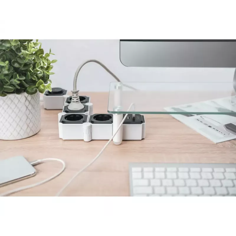 Power Strip Digitus Flexible 4-way with 2 USB Ports & Switch