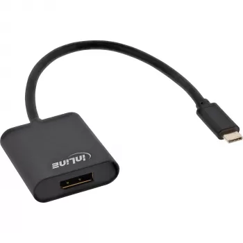 USB Display converter InLine 64102B USB-C male to DisplayPort 4K/60Hz