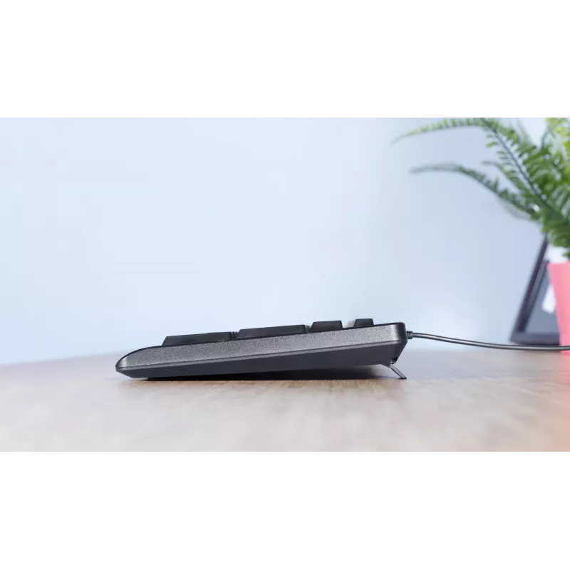 Trust TK-150 keyboard Office USB QWERTZ German Black
