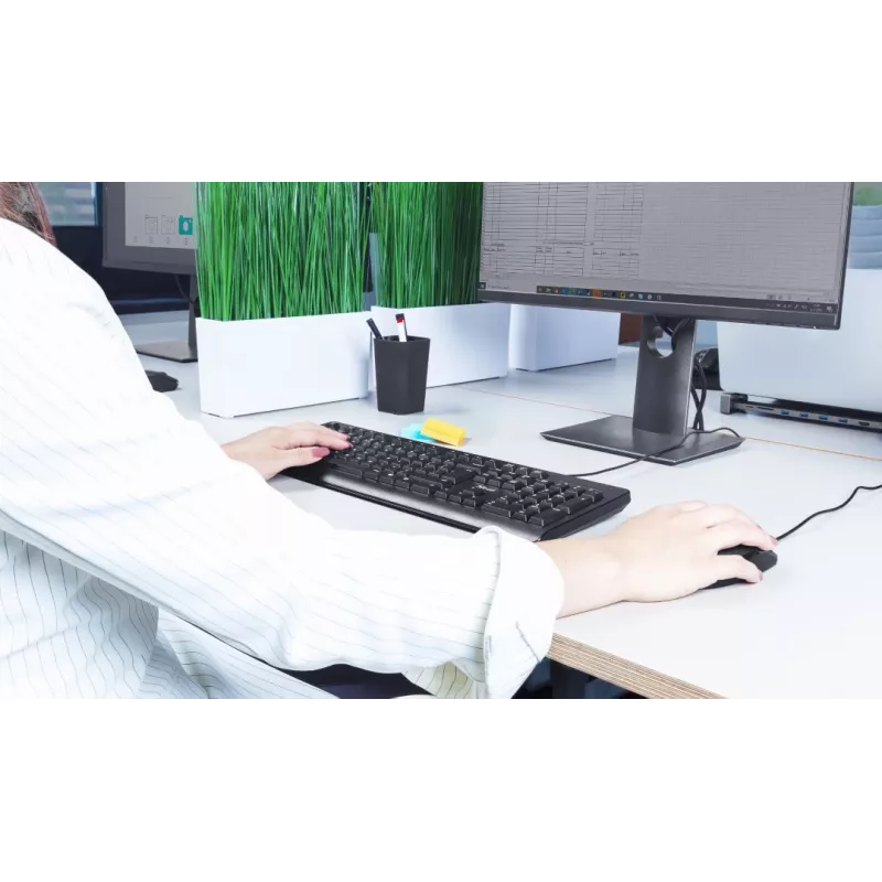Trust TK-150 keyboard Office USB QWERTZ German Black
