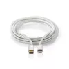 Lightning Cable Nedis CCTB39650AL10 1m Aluminium USB C