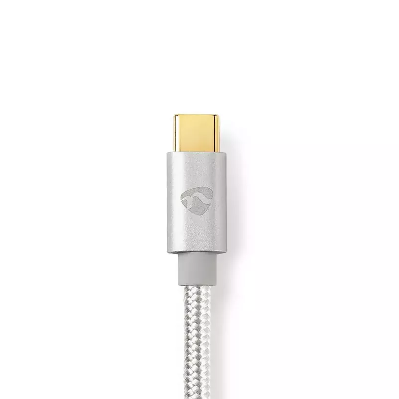 Lightning Cable Nedis CCTB39650AL10 1m Aluminium USB C