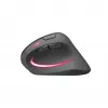 Mouse SPEEDLINK SL-630026-BK RF Wireless Optical