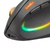 Mouse SPEEDLINK SL-630026-BK RF Wireless Optical
