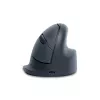 R-Go Tools HE Basic ergonomic mouse, medium, right-handed, Bluetooth