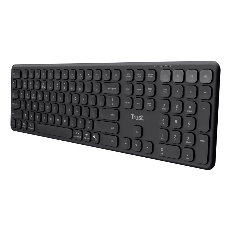 Trust Vaiya keyboard Home/Office RF Wireless + Bluetooth QWERTZ German Black