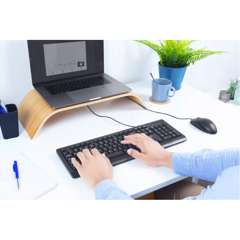 Trust Primo keyboard Mouse included Office USB German Black