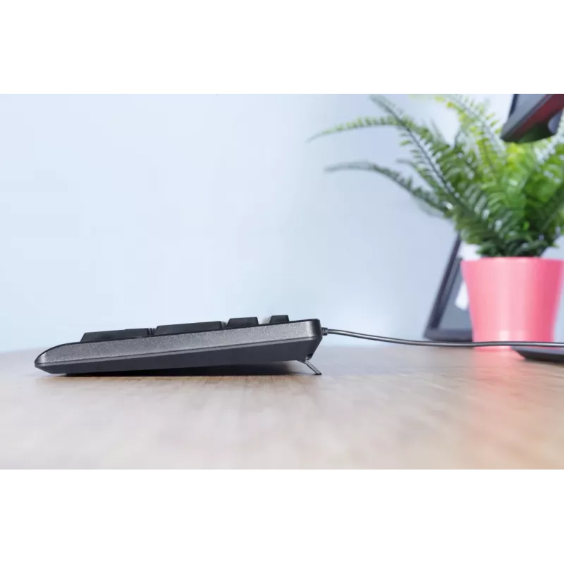 Trust Primo keyboard Mouse included Office USB German Black