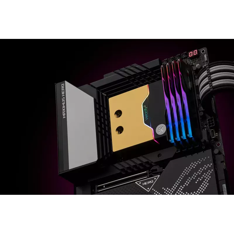 Water block EK Water Blocks Brass Copper Black Gold