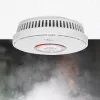 Air-sampling detector Nedis DTCTCS10WT White Battery powered
