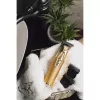Beard Trimmer Adler AD 2836G Battery 0.9 6 mm Gold