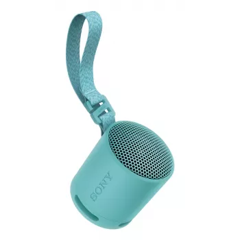Sony SRS-XB100 - Wireless Bluetooth Portable Speaker, Durable IP67 Waterproof & Dustproof, 16 Hour Battery, Eco, Outdoor and Travel in Blue