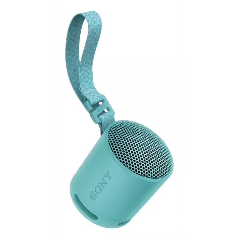 Sony SRS-XB100 - Wireless Bluetooth Portable Speaker, Durable IP67 Waterproof & Dustproof, 16 Hour Battery, Eco, Outdoor and Travel in Blue