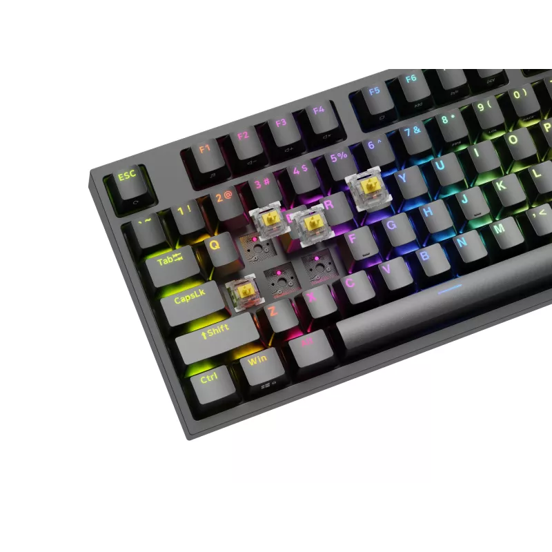 GENESIS Thor 404 TKL keyboard Gaming USB QWERTY US International Black