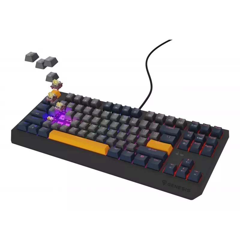 GENESIS Thor 230 TKL keyboard Gaming USB QWERTY English Blue