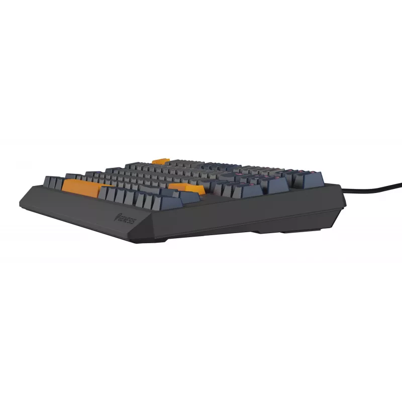 GENESIS Thor 230 TKL keyboard Gaming USB QWERTY English Blue