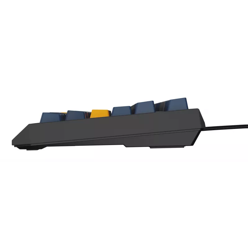 GENESIS Thor 230 TKL keyboard Gaming USB QWERTY English Blue