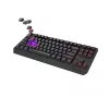 Mechanical Tenkeyless Gaming Keyboard GENESIS Thor 230 TKL — USB, RF Wireless, Bluetooth, 87-key QWERTY, Grey