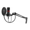 PC microphone ENDORFY Solum Streaming, USB-C wired cardioid, 48 kHz/16-bit, 18–21000 Hz, table mount, shock mount & pop filter