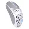Wireless gaming mouse ENDORFY LIV Onyx White — Bluetooth/2.4GHz, 12000 DPI, ambidextrous, aRGB illumination, 6 buttons, USB-A/USB-C cable