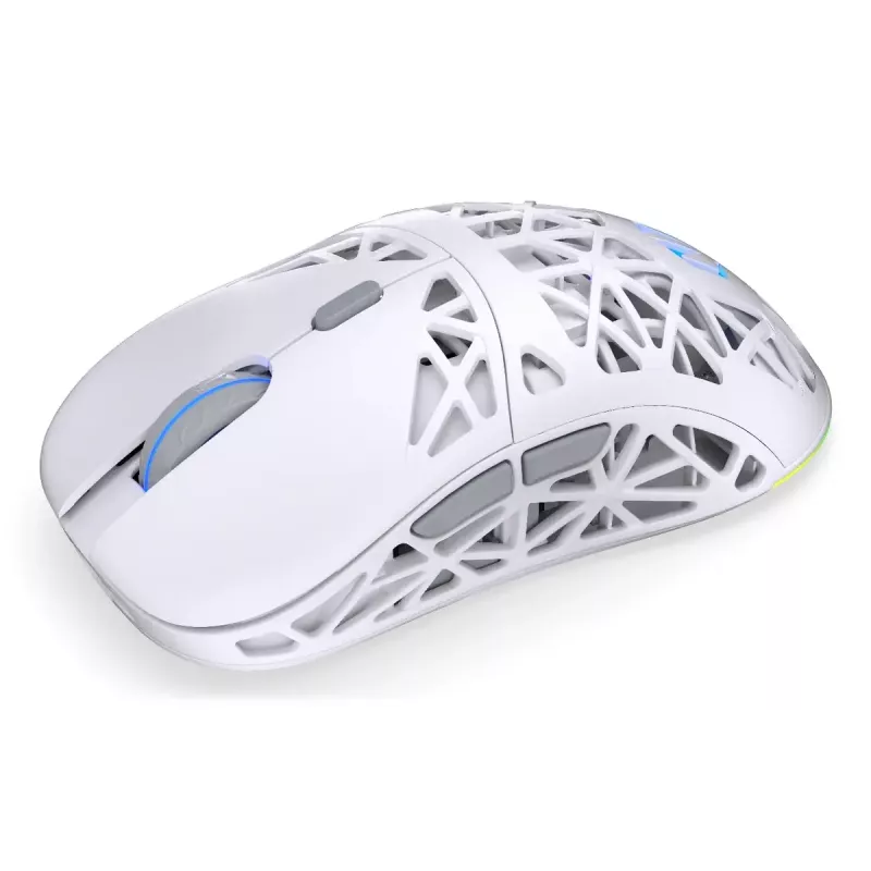 Wireless gaming mouse ENDORFY LIV Onyx White — Bluetooth/2.4GHz, 12000 DPI, ambidextrous, aRGB illumination, 6 buttons, USB-A/USB-C cable