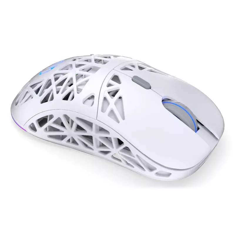 Wireless gaming mouse ENDORFY LIV Onyx White — Bluetooth/2.4GHz, 12000 DPI, ambidextrous, aRGB illumination, 6 buttons, USB-A/USB-C cable