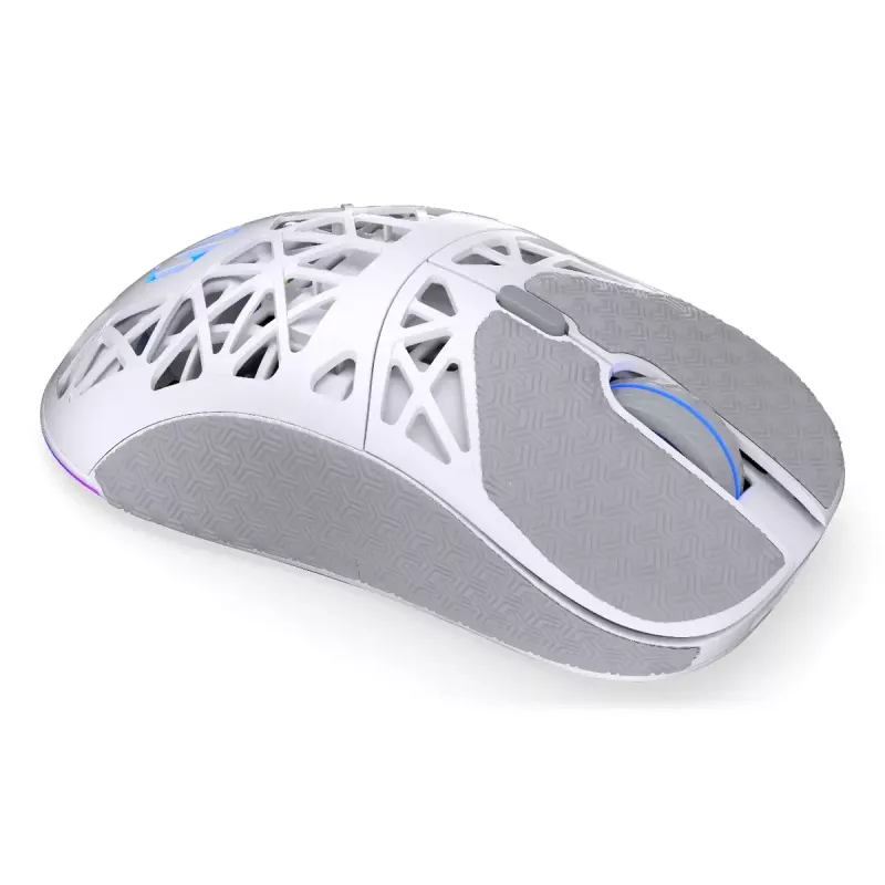 Wireless gaming mouse ENDORFY LIV Onyx White — Bluetooth/2.4GHz, 12000 DPI, ambidextrous, aRGB illumination, 6 buttons, USB-A/USB-C cable