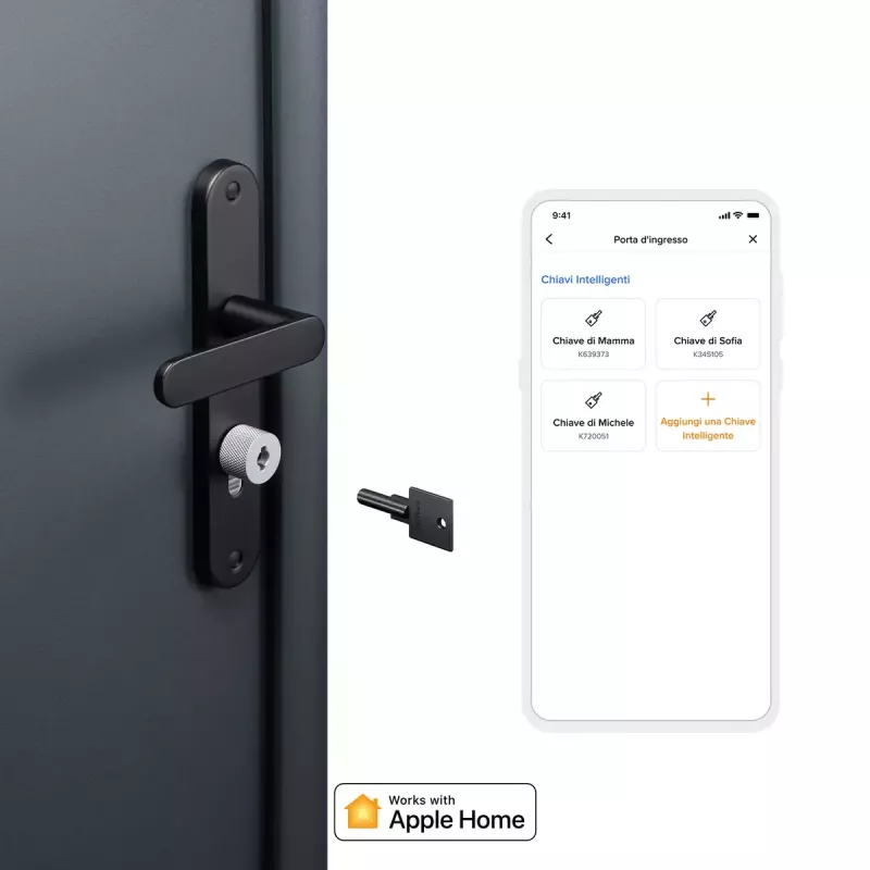 Smart door lock Netatmo NDL-EC Keyless Black Grey