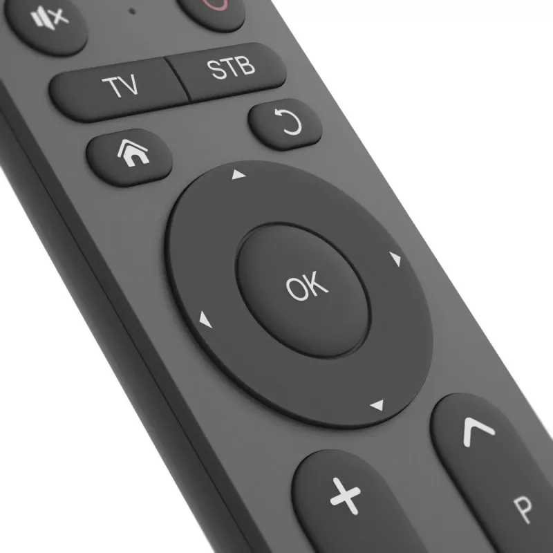 Remote Control Hama 00221056 IR Wireless TV 31 Buttons 10m Range