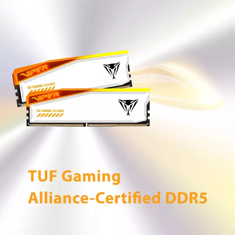 Patriot Viper Elite 5 RGB TUF Gaming Alliance DDR5 SDRAM 32GB kit 3000MHz CL36 On-die ECC DIMM 288-PIN