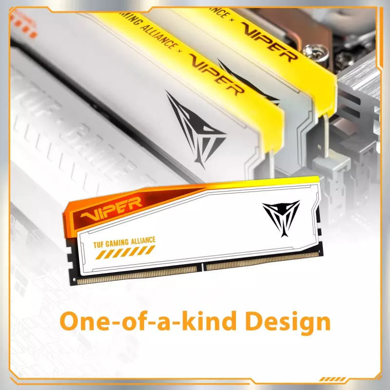 Patriot Viper Elite 5 RGB TUF Gaming Alliance DDR5 SDRAM 32GB kit 3000MHz CL36 On-die ECC DIMM 288-PIN