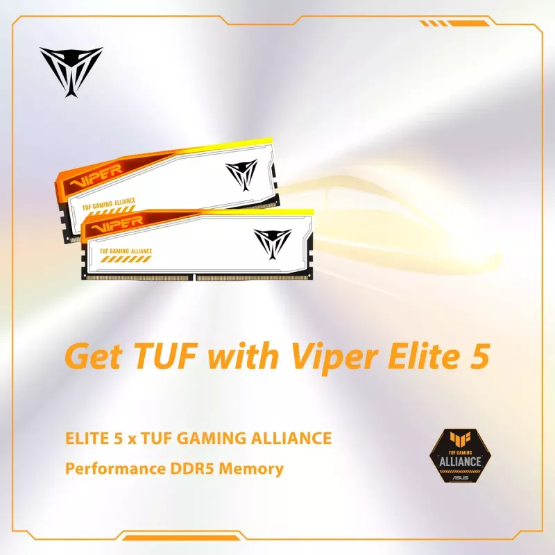 Patriot Viper Elite 5 RGB TUF Gaming Alliance DDR5 SDRAM 32GB kit 3000MHz CL36 On-die ECC DIMM 288-PIN