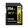 Memory Card Lexar 256GB SDXC Class 10 LSD2000256G-BNNNG