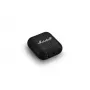 Headphones Marshall Minor IV Wireless Headphones