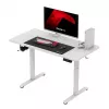 Gaming desk huzaro Hero 8.1 — white electric height-adjustable desk 120×60 cm, 720–1180 mm, 50 kg capacity, cable management