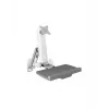 ICY BOX IB-MS600-W 61 cm (24 inch) Wall Grey, Silver, White